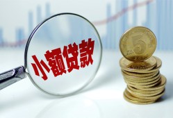 东莞13哪里可以小额贷款-东莞13哪里有民间借贷-东莞13民间短期私借借款