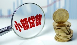 东莞13哪里可以小额贷款-东莞13哪里有民间借贷-东莞13民间短期私借借款